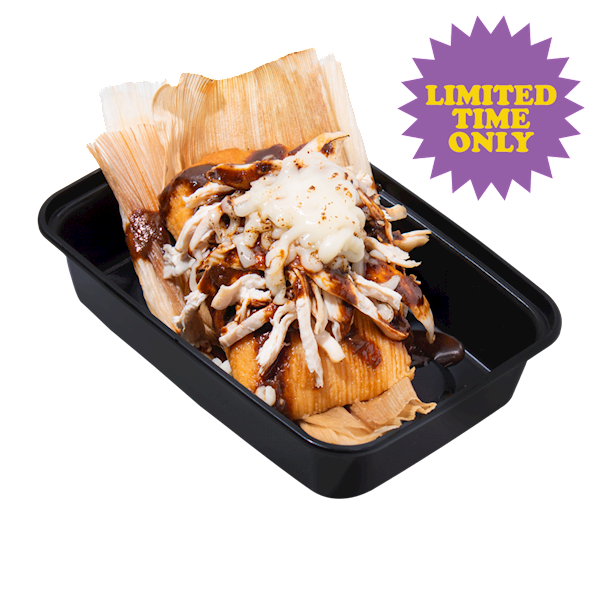 Holy Mole Tamale